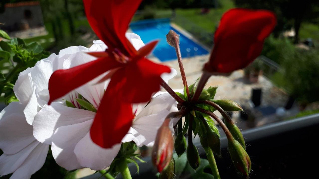 Pension Am Weinberg Bed & Breakfast Mainstockheim Εξωτερικό φωτογραφία