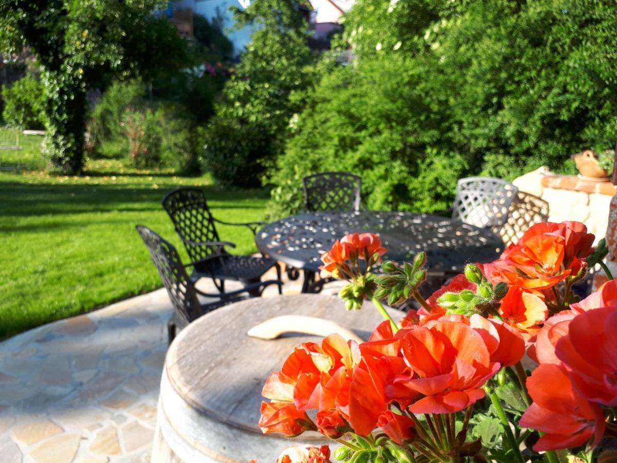 Pension Am Weinberg Bed & Breakfast Mainstockheim Εξωτερικό φωτογραφία